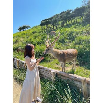 台版奈良🦌