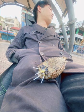 我與我的小怪獸