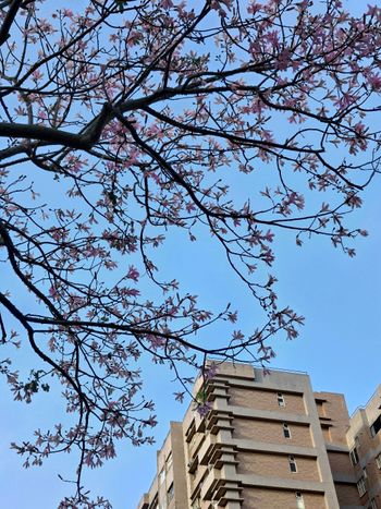 今日份的天空