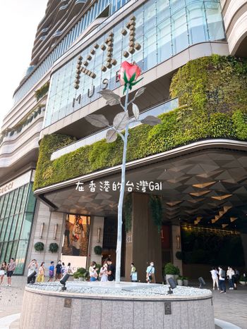 香港景點｜維多利亞港旁的亞洲最高巨型玫瑰🌹