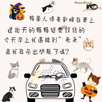 貓星人的床