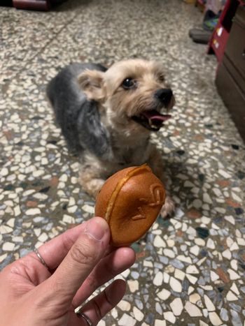 我想吃～～
