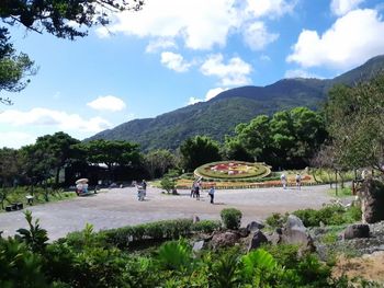 陽明山花鐘