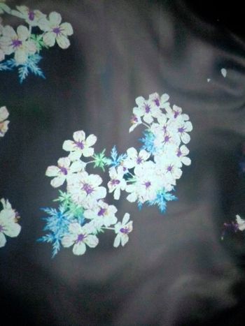 科教館特展