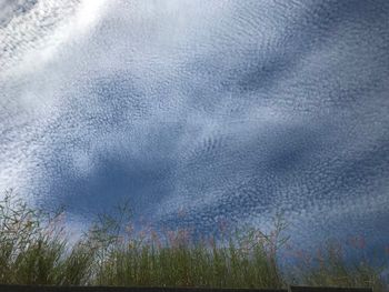 心情不好的時候就抬頭看看天空吧✨