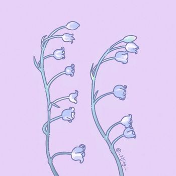 鈴蘭 | 愛筆思畫 | 花語是幸福的回歸💞