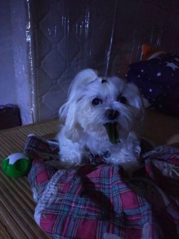 抽煙