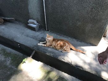 花蓮新城天主教堂
