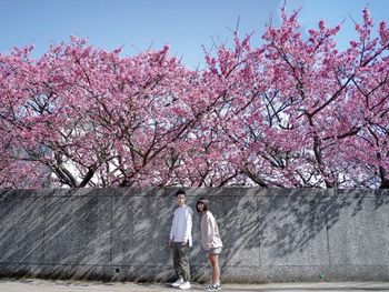 📍台北｜賞櫻景點大公開🌸