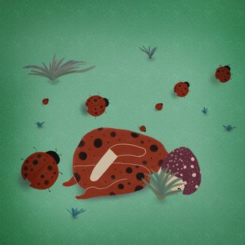 Day 29 Beetle 