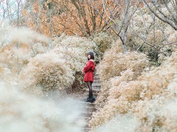 花海秘境｜11-12月 仙草花&白雪木