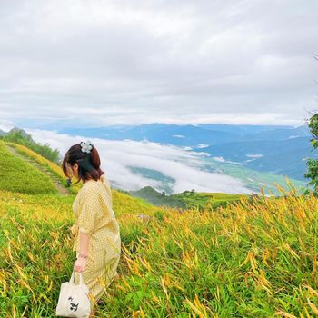 花蓮金針花季｜波筆帶你去旅行