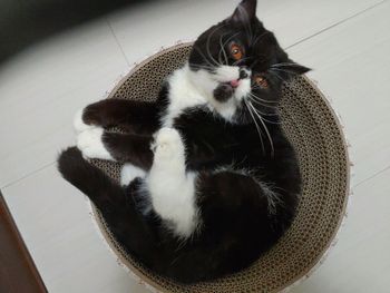 自立更生