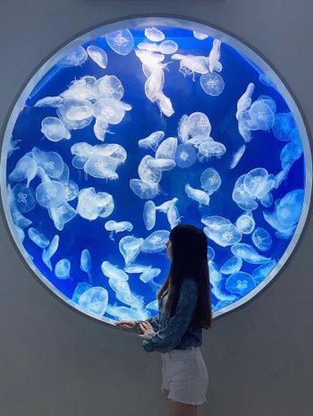 桃園 | X PARK 全台最美水族館