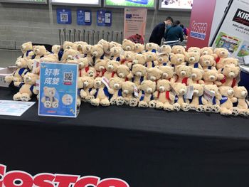 滿滿熊海，Costco好市多會員小熊