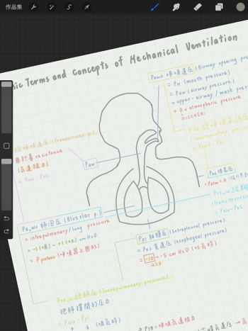 醫學院筆記整理 🫁👩🏻‍⚕️✏️