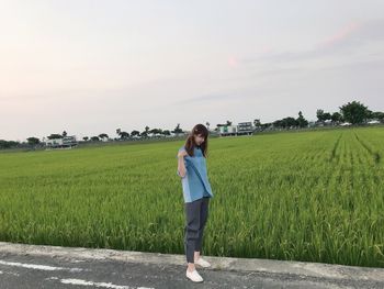 稻田的風景