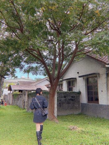 👣花蓮景點 森山舍🌳