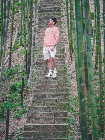 #頂尖達人站出來 竹林深處