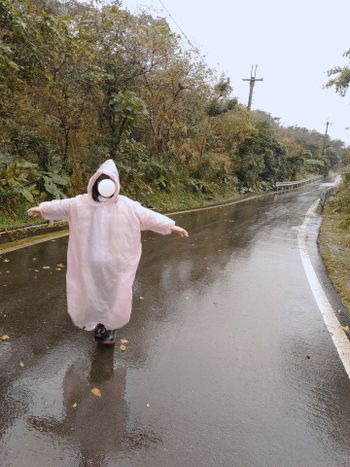 太單純:-)( ´◡‿ゝ◡`)