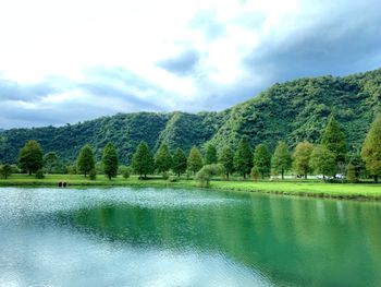 宜蘭最美的落羽松打卡景點｜蜊埤湖