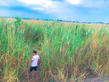 台南。根子草花海