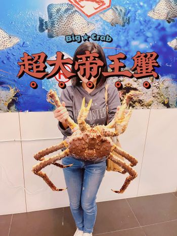 螃蟹控不能錯過的超大帝王蟹！