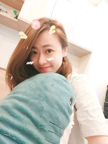 不要吃鯊鯊