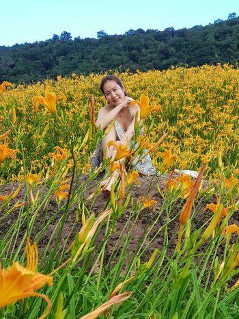 季節限定的花海