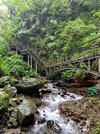 宜蘭林美石磐步道｜驚險萬分的登山經驗