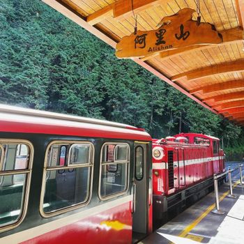 嘉義阿里山｜懷舊小火車包車啦🚂