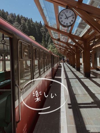 異國感景點｜小火車和櫻花如雪伴妳一解無法去日本之苦🇯🇵