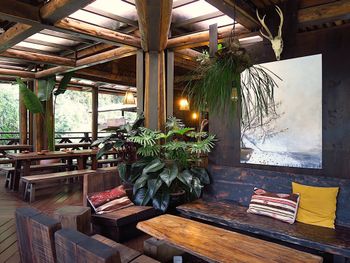 嘉義｜Hana廚房｜阿里山來吉部落山中餐廳