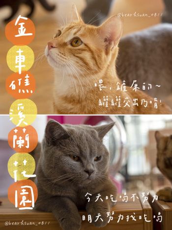 宜蘭景點・貓咪 狐蒙 食人魚 大人小孩都愛玩🐯