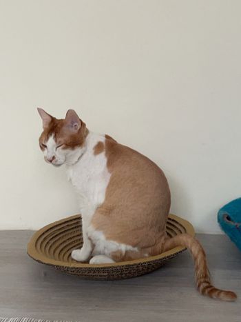 你別看我