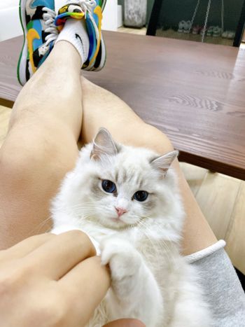 小美女 elsa