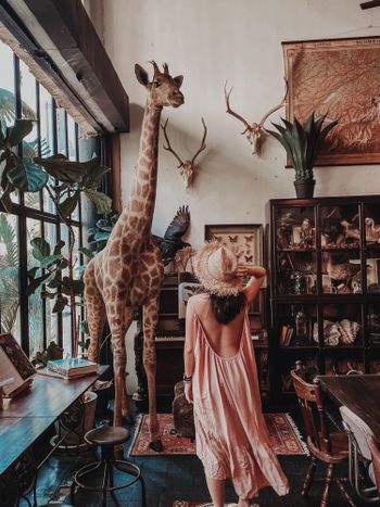 In the mood of safari🦒🦓