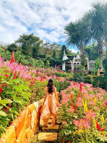 菲律賓宿霧❤️Sirao Garden 天空花園 資訊篇