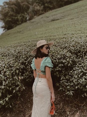 Blend into the tea plantation🌱