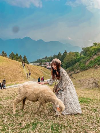 🐑清境農場一日遊🐑