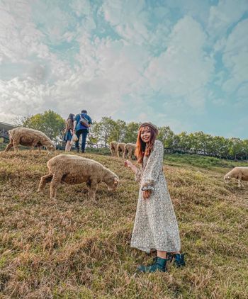 🐑清境一日遊 - 青青草原🐑