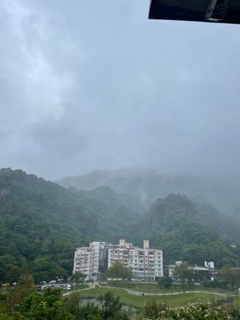 好山好水好將來