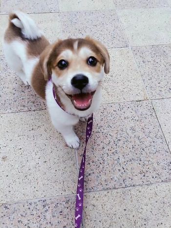 我還有女兒🤣