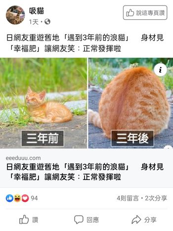 抱枕😁