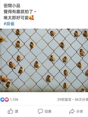 看起來好像藝術品