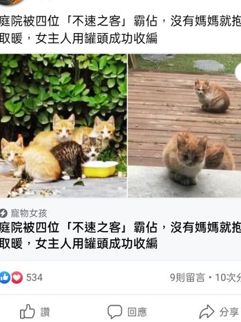 貓貓貓貓貓貓給我貓