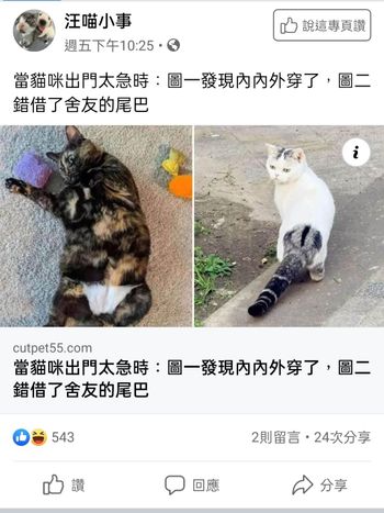 兩個搭配的真好