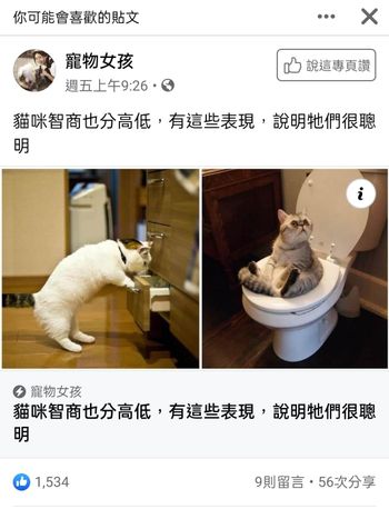 坐在馬桶上也太可愛