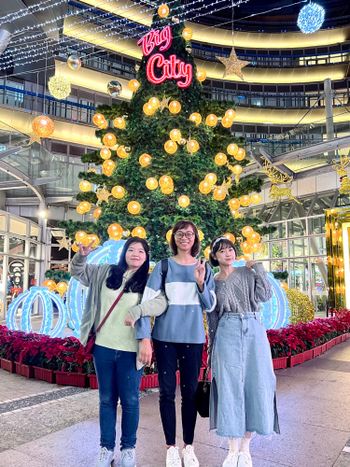 TRAVEL •  新竹 每年必拍的巨城聖誕樹