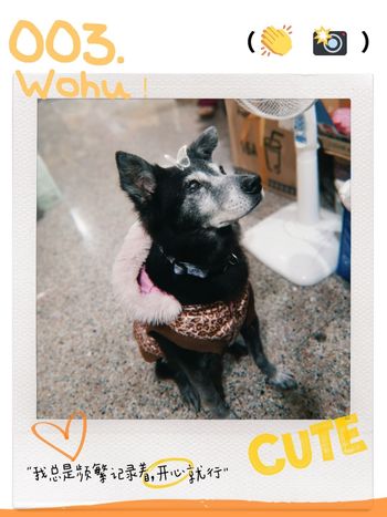 我的寶貝❤️